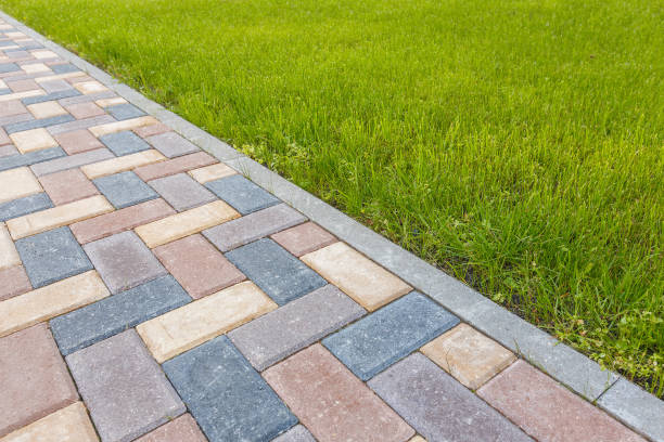 Best Driveway Paving Company  in Olyphant, PA